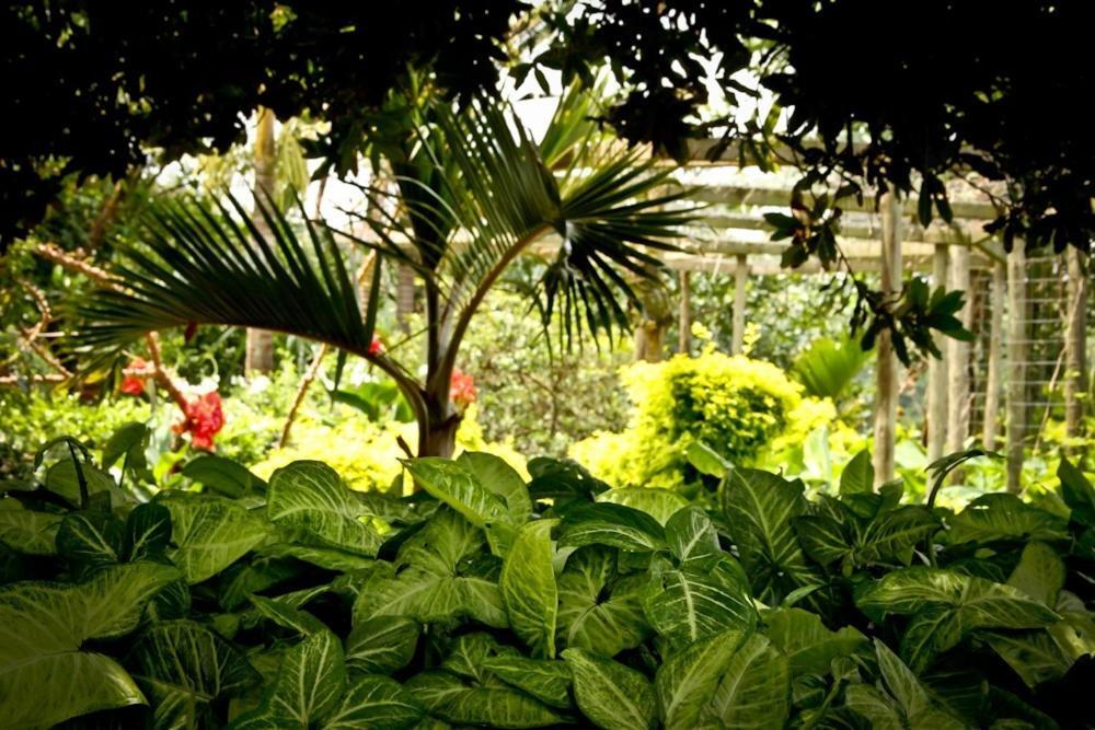 De Charmoy Estate Hotel Verulam Bagian luar foto
